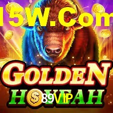 Premium Interface 89VIP
